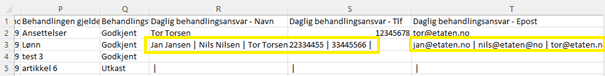 Bilde som viser eksempel på rapport Behandlingsoversikt CSV» åpnet i MC Excel der det er registrert tre personer med daglig behandlingsansvar for en behandlingsaktivitet.