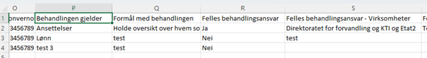 Bilde som viser et eksempel på rapport «Protokoll CSV» åpnet i MS Excel.